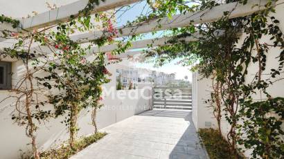 Segunda mano - Apartamento planta baja -
Torrevieja