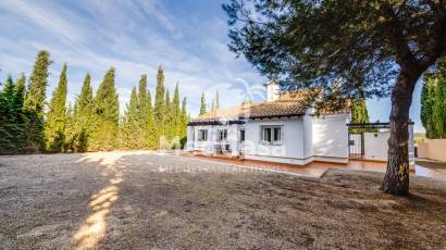 Neubau - Villa -
Fuente Alamo