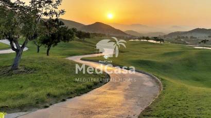 Obra nueva - Semi pareado -
Monforte del Cid