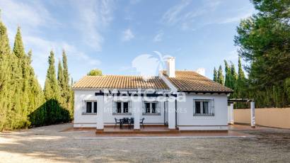 Obra nueva - Adosado -
Fuente Alamo