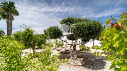 Wiederverkauf - Villa -
Torrevieja - El chaparral