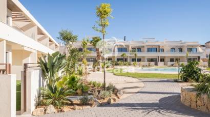 Obra nueva - Apartamento planta baja -
Torrevieja