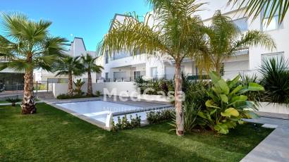 Segunda mano - Apartamento planta baja -
Torrevieja