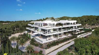 Neubau - Penthousewohnung -
Golf Las Colinas