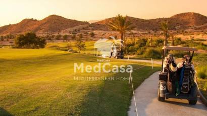 New Build - Villa -
Monforte del Cid
