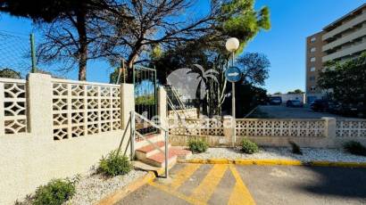 Segunda mano - Apartamento planta baja -
Guardamar del Segura - Guardamar