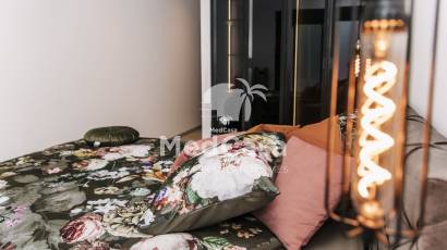 Obra nueva - Villa -
Rojales