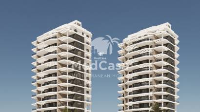 Neubau - Penthousewohnung -
Calpe