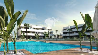 Obra nueva - Apartamento planta baja -
Guardamar del Segura