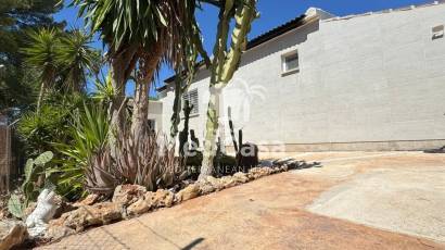 Segunda mano - Villa -
Elche - Peña las Águilas