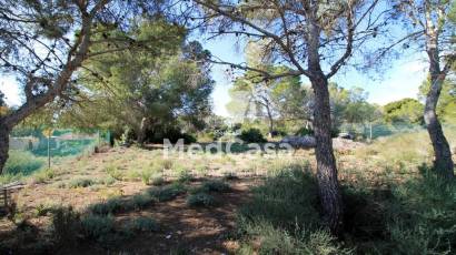 Resale - Villa -
Mil Palmeras