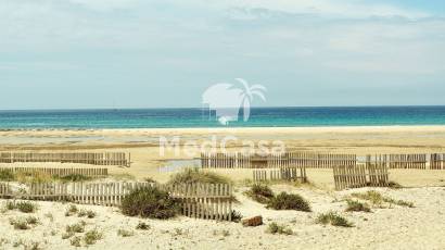 Obra nueva - Ático -
La Manga