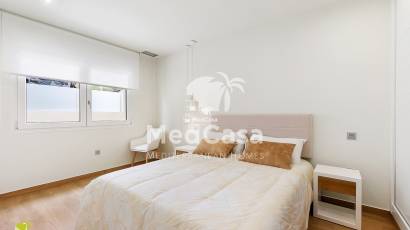 Obra nueva - Villa -
Rojales
