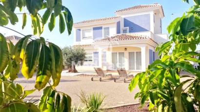 New Build - Villa -
Purias