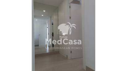 Obra nueva - Villa -
Benijofar