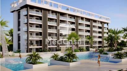 Obra nueva - Ático -
Torrevieja