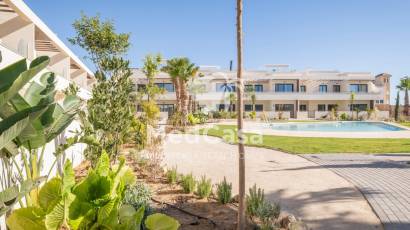 Obra nueva - Ático -
Torrevieja