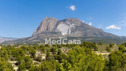 Obra nueva - Villa -
Finestrat