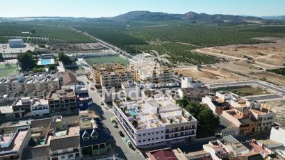 Neubau - Penthousewohnung -
Algorfa