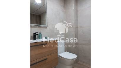 Obra nueva - Apartamento planta baja -
Benejúzar