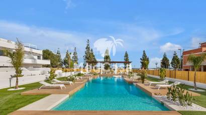 Obra nueva - Ático -
Los Alcázares