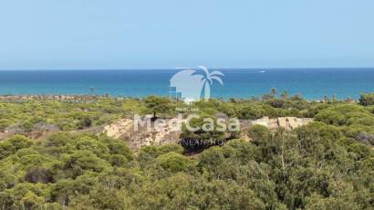 Resale - Apartment -
Guardamar del Segura