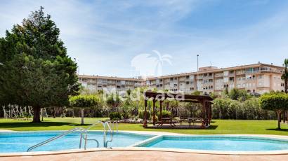 Wiederverkauf - Penthousewohnung -
Torrevieja