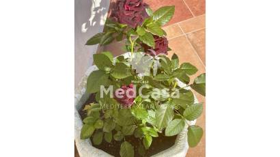 Wiederverkauf - Villa -
Moraira - Benimeit