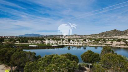 Obra nueva - Villa -
Golf Altaona