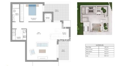 Obra nueva - Villa -
Finestrat