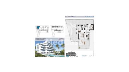 New Build - Apartment -
Mil Palmeras