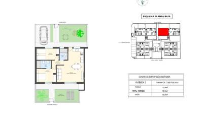 Obra nueva - Apartamento planta baja -
Pilar de la Horadada